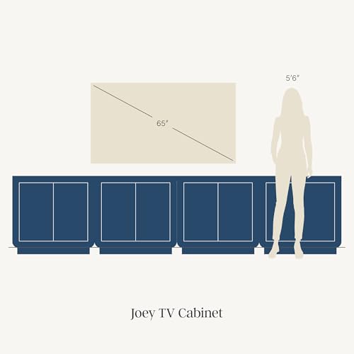 Joey Mid Century Modern Storage Cabinet (4 Count)