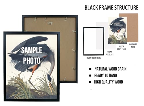Female Skull Poster Art Print