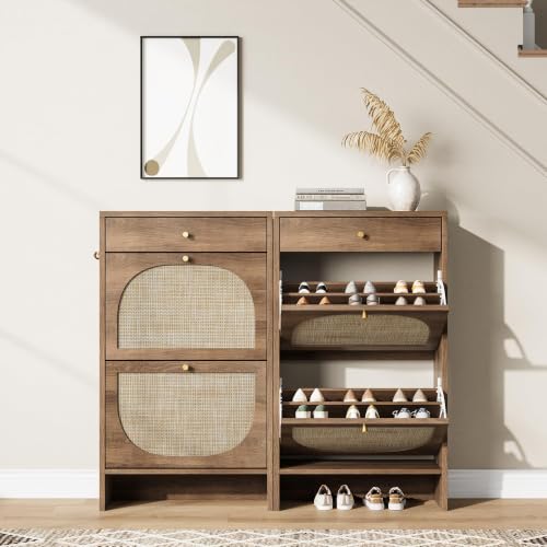 Shoe Cabinet for Entryway
