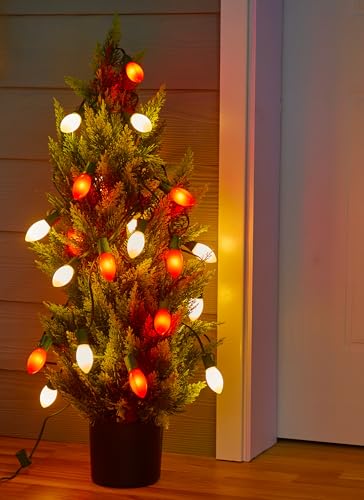 100Ft Christmas Lights Outdoor (100 Count)