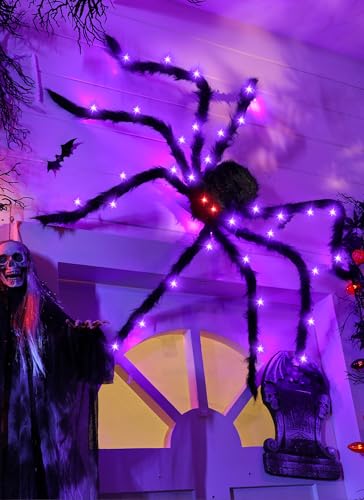 Halloween Decor (Purple & Black)