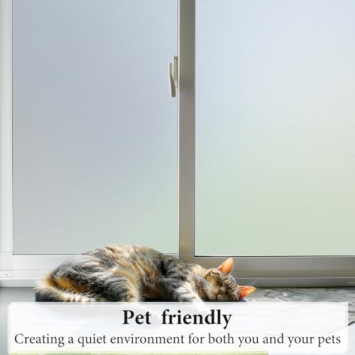 Window Privacy Film