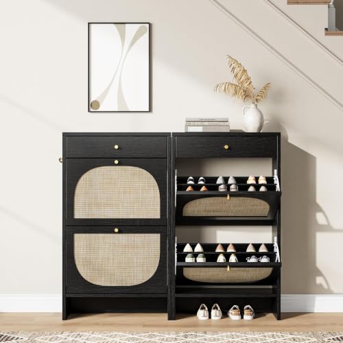 Shoe Cabinet for Entryway