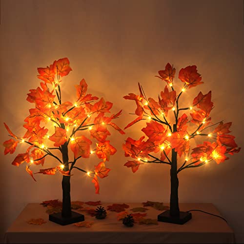 2 Pack Lighted Maple Tree 20 Inch 48LED Fall Artificial Tree for Thanksgiving Harvest Indoor Decoration (2 Count)