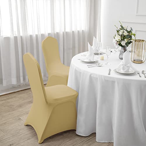 Waterproof Spandex Chair Cover 25PCS (25 Count)