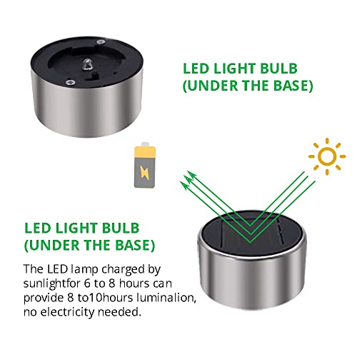 Solar Lights Outdoor Waterproof (12 Count)