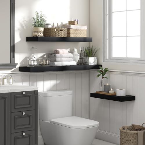 Floating Shelves 23.6" W x 10.3" D Black Set of 2 (2 Count)