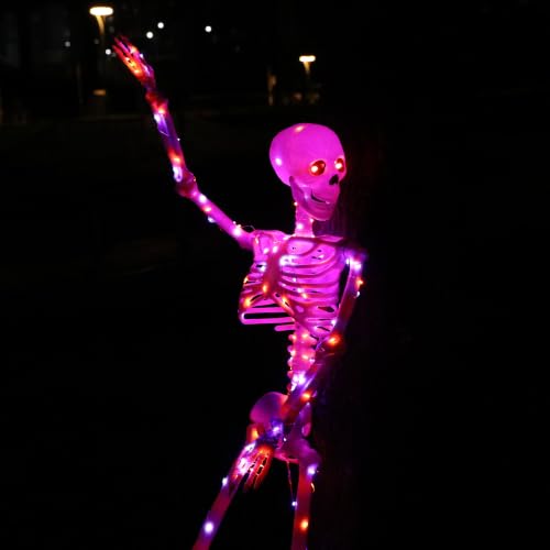 Halloween Decorations Outdoor Skeletons Set (Orange/Purple)