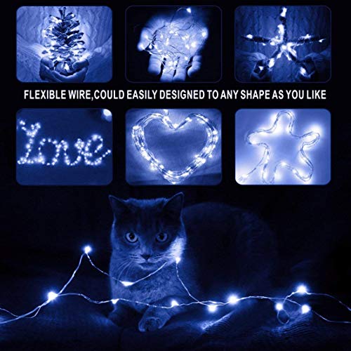 Fairy Lights Battery Operated (10 Foot)