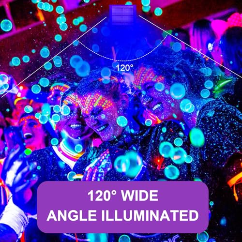 300W Black Lights