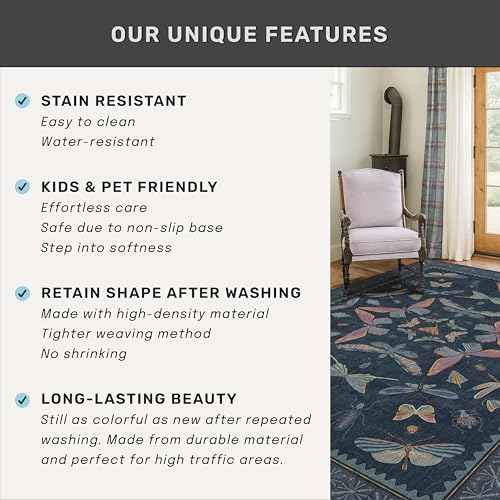 Washable 3x5 Indoor Rugs for Entryway (15 Sq Ft)