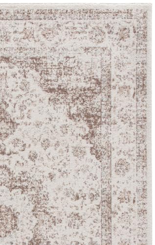 Evoke Area Rug 6'7"x9' (59.3 Sq Ft)