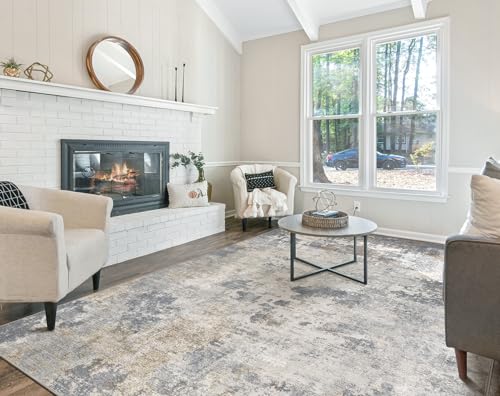 5x7 Area Rug Living Room Rugs