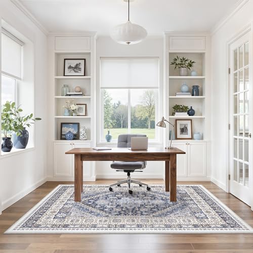 4x6 Area Rug for Entryway (10.7639 Sq Ft)