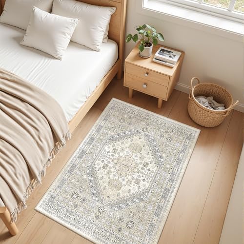 2x3 Rug Non Slip