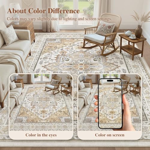 8x10 Area Rug for Living Room (24 Count)