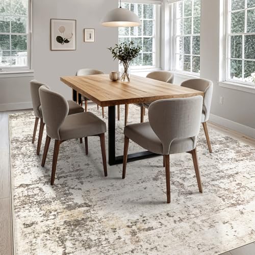 5x7 Area Rug Living Room Rugs