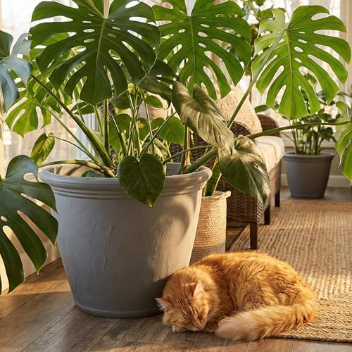 Sunnydaze Anjelica 20'' Large Plastic Planter Pot for Plants (2 Count)