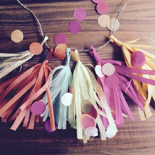 Shiny Tassel Garland Tissue Colorful Paper Tassel Banner (20 Count)