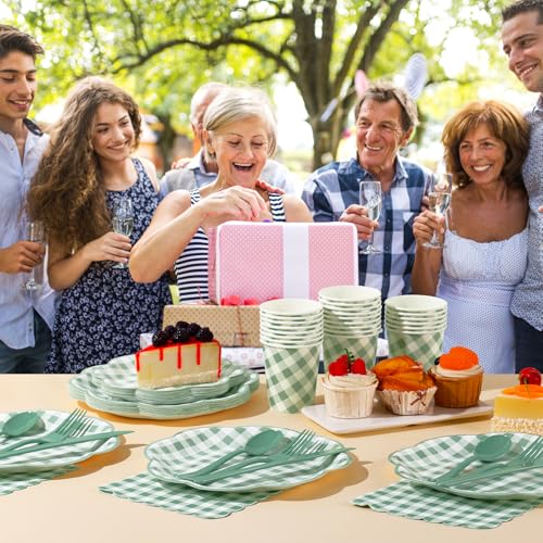 350 Pcs Sage Green Gingham Paper Plates and Napkins Party Supplies
