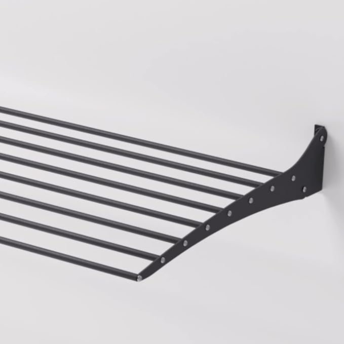 foxydry Fold, Wall Drying Rack, Vertical Drying Rack for Indoor and Outdoor Aluminium and Steel (Black, 62 cm / 24.4 in)