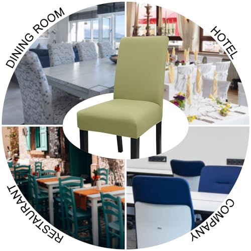Sage Green Chair Covers for Dining Room Set of 8