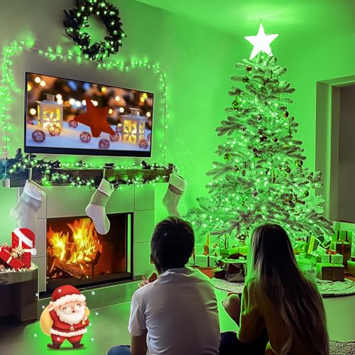 8 Modes 163 FT 500 LED Green Christmas Lights Indoor Outdoor (163 Foot)