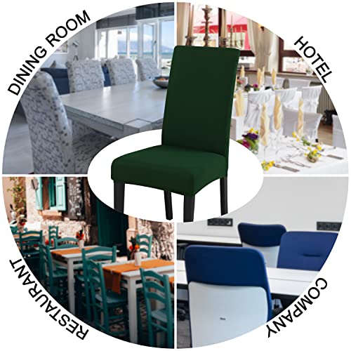 Chair Covers for Dining Chairs