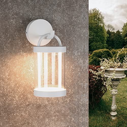 LED Wall Sconce Light Outdoor