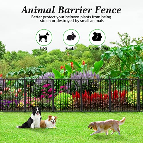 Decorative Black Metal Fencing Garden Fence with Gate