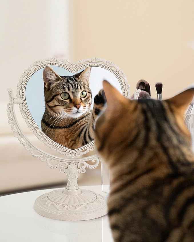 D&XQAUO Vintage Heart Mirror for Desk Cute Coquette Room Decor,Vanity & Bathroom Double-Sided Rotating Makeup Table Mirror with Stand