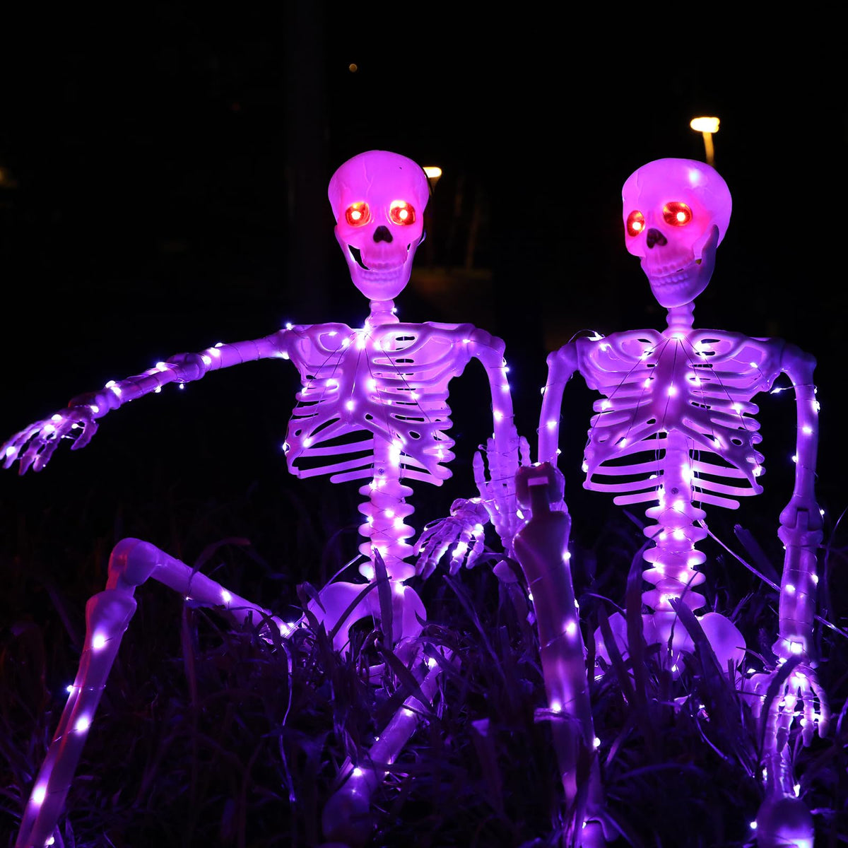 Halloween Decorations Outdoor Skeletons Set (Purple)