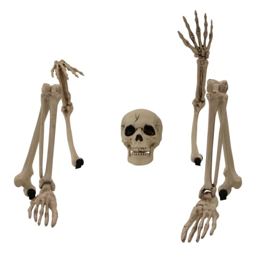 Ground Breaking Skeleton Stakes Spooky Halloween Decoration (34" Skeleton Groundbreaker)