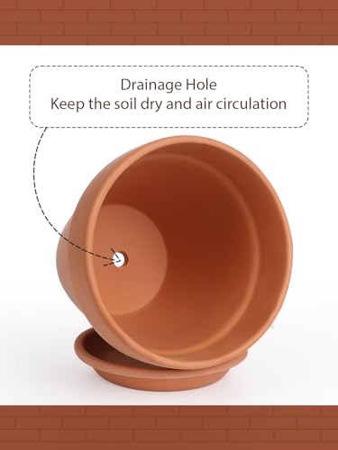 Terracotta Pot with Saucer 10&12 Inch (2 Count)