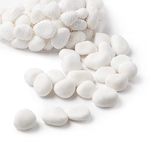 River Rocks Aquarium Gravel (480 Ounce)