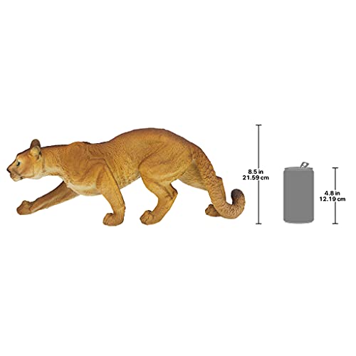 Prowling American Mountain Cougar Indoor