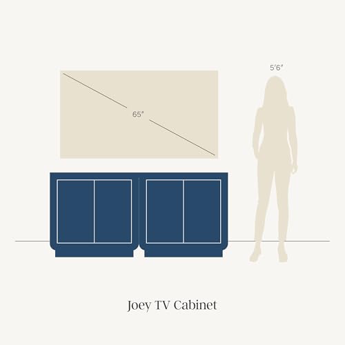 Joey Mid Century Modern Storage Cabinet (2 Count)