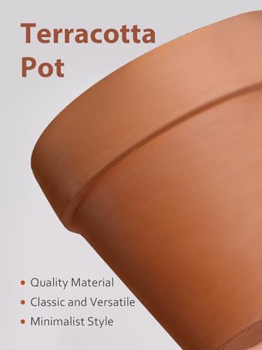 Terracotta Pot with Saucer 10&12 Inch (2 Count)