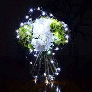 Fairy Lights Battery Operated (10 Foot)