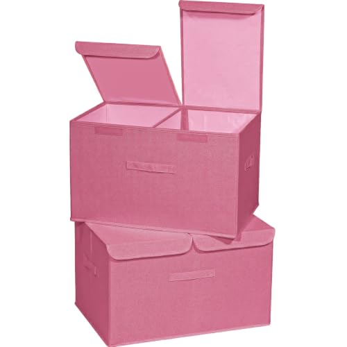 2 Pack Storage Boxes with Lids and Handles (2 Count)