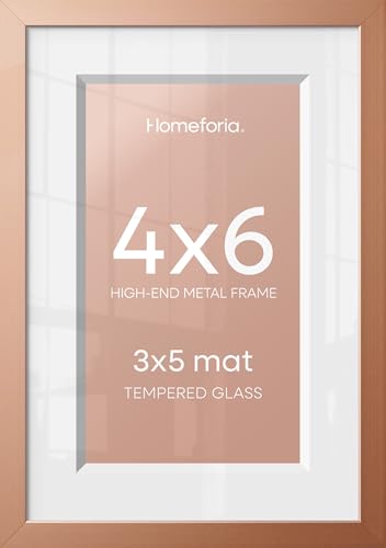 4x6 Rose Picture Frame (2 Count)