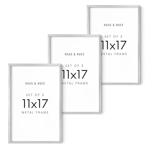 11x17 Silver Metal Picture Frames