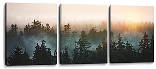 Forest Bathed in Sunlight Canvas Print Picture Painting Wall Art for Bedroom Living Room Framed 3 Piece Artwork Wall Decor for Bathroom Modern Room Plants Wall Decorations Size 12x16x3 Ready to Hang