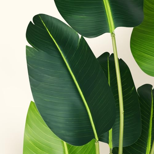 Artificial Bird of Paradise Plant 8Ft Fake Tropical Palm Tree with 18Trunks Faux Banana Leaf Trees in Pot for Home Indoor Outdoor Office Modern Decor Housewarming Gift (18 Count)