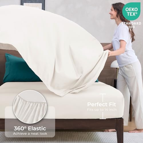 7 Piece Queen Comforter Set