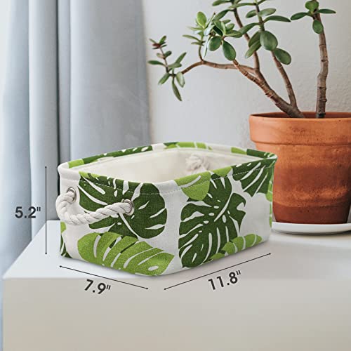 Storage Cubes (6 Count)