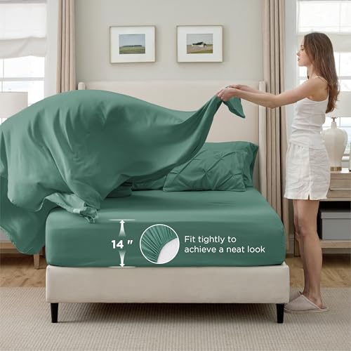 Twin Comforter Set & Sheet Set