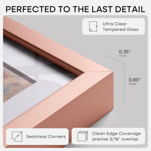12x12 Rose Picture Frame (2 Count)