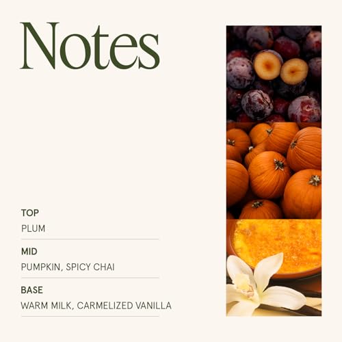 Pumpkin Chai Scented Candles for Home (19.4 Ounce)