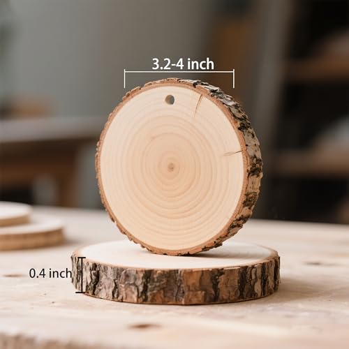 20PCS Pre Drilled Wood Slices with Holes (20 Count)
